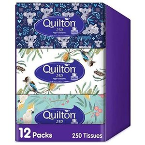 Quilton 2-Ply Hypo-Allergenic 250 Facial Tissue 12 Packs $19.99 ($17.99 S&S) + Delivery ($0 with Prime/ $59 Spend)