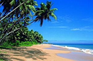 Singapore Airlines: Colombo Sri Lanka return PER $669, MEL $780, DRW $781, SYD $794, ADL $796, BNE $824, CNS $832