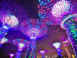 Turkish Airlines Direct to Singapore: Sydney from $775 Return, Melbourne from $788 - Aug 2026 to Jun 2027