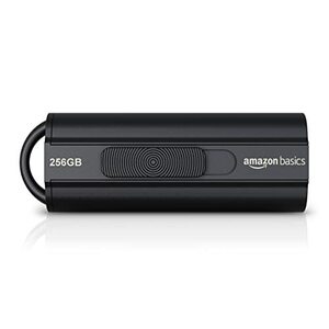Amazon Basics USB Flash Drive 256GB $32.24 + Delivery ($0 with Prime / $59 Spend)