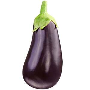 Big eggplant $5.78 each
